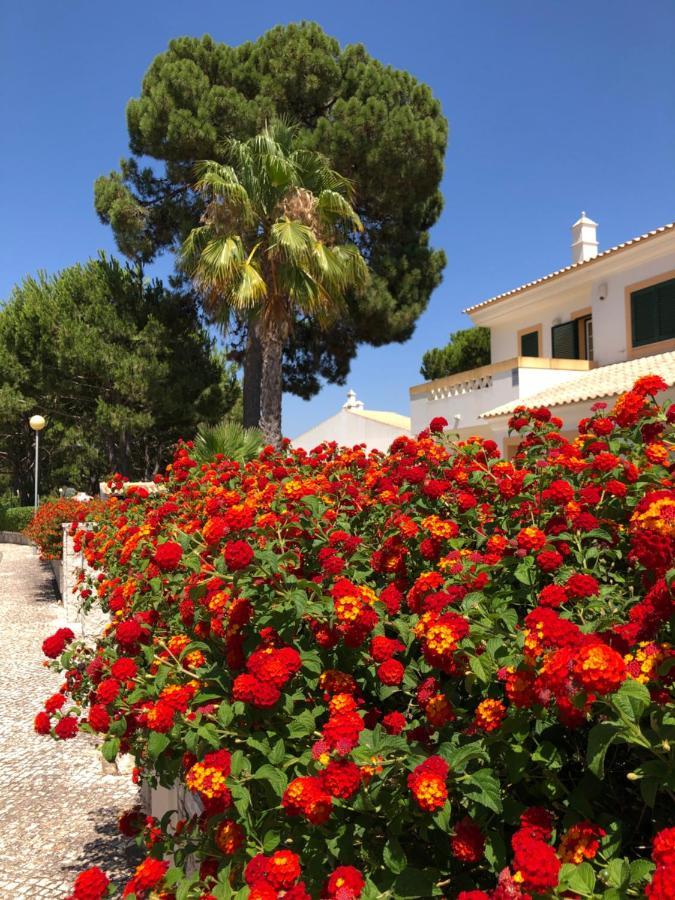 Comfortable apartment, Algarve Albufeira, 10 mn walk from Falésia beach Olhos de Agua  Esterno foto